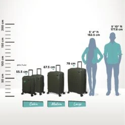 IT Luggage Spontaneous - Large (Olive Night) -Travel Gear Shop Spontaneous Full set olive Relative Size