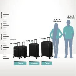 IT Luggage Spontaneous - Large (Black) -Travel Gear Shop Spontaneous full set Blk Relative Size